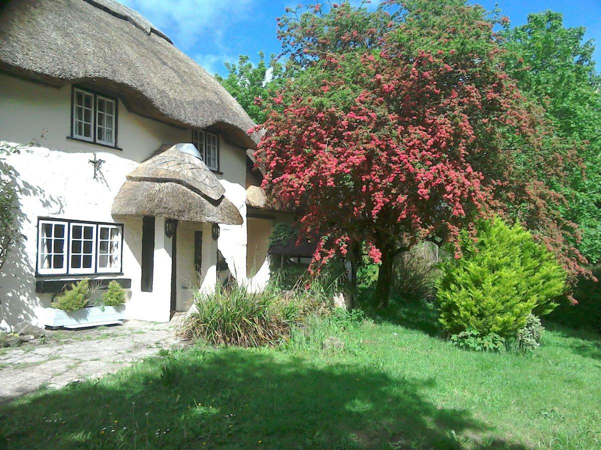 The Crown Inn Alvediston Exterior foto