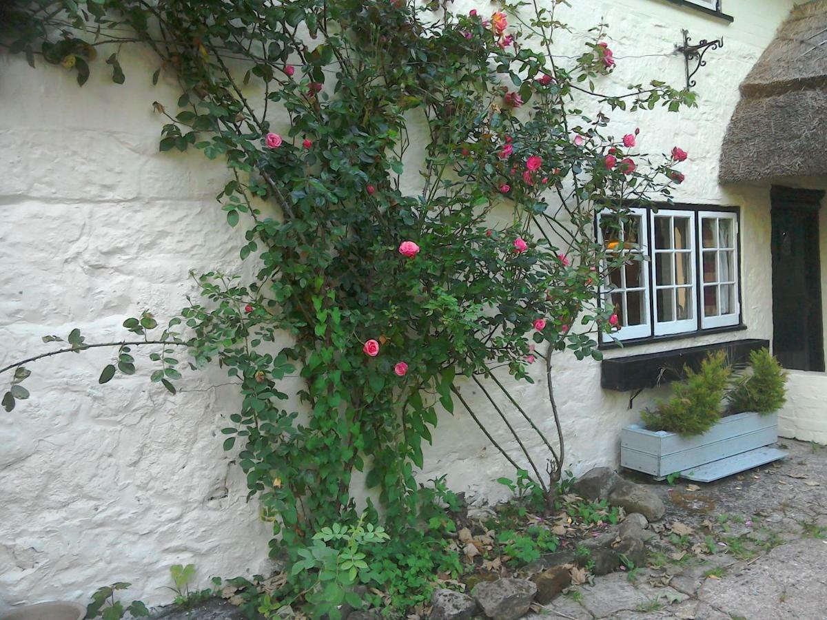 The Crown Inn Alvediston Exterior foto